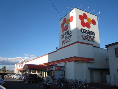 Supermarket. 700m until Ozamu (super)