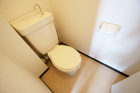 Toilet. Toilet (Separate reference photograph)