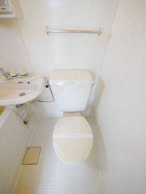Toilet. Toilet