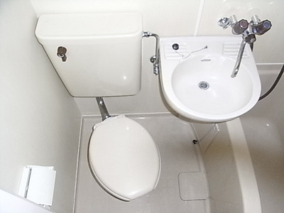 Toilet. Toilet