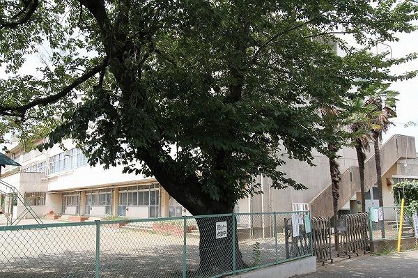 Primary school. Higashikurume 800m stand up to the second elementary school