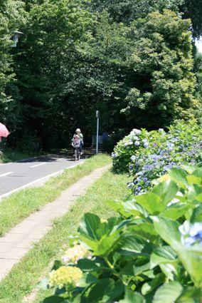 Other Environmental Photo. Tamako bicycle 840m until the road