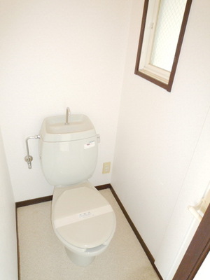 Toilet. Western-style toilet