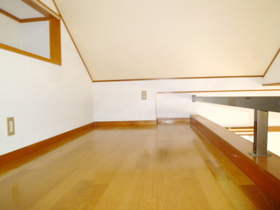 Other room space. Loft space