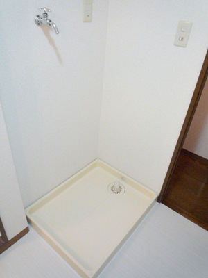 Other. It is indoor washing machine Storage