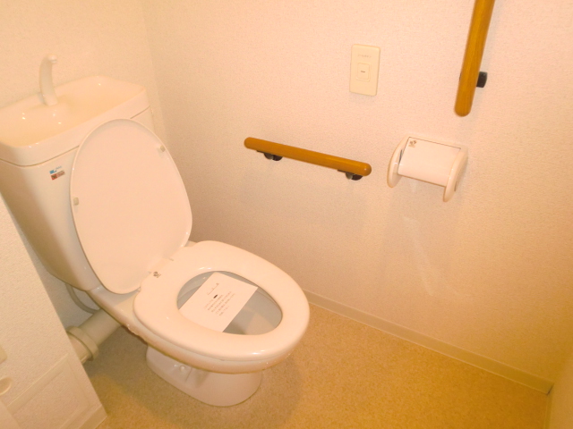 Toilet. It is a handrail with a restroom!