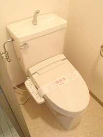 Toilet. Cleaning function toilet seat ☆ 