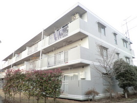 Building appearance. All houses facing south with sunny