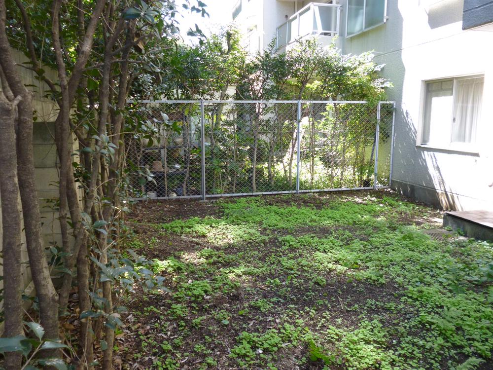 Garden. Garden area / 12.8 square meters