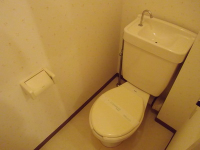 Toilet. Toilet