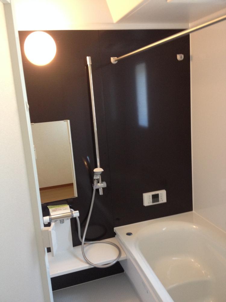 Bathroom. Indoor (10 May 2013) Shooting