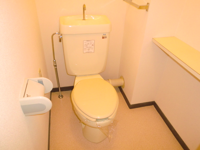 Toilet. The restroom is useful is equipped with a small shelf