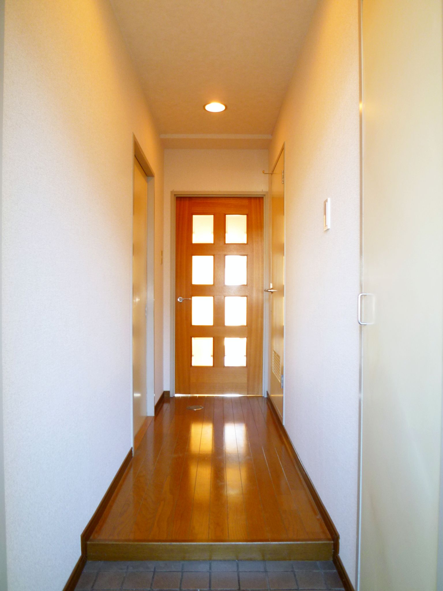 Living and room. Entrance passage
