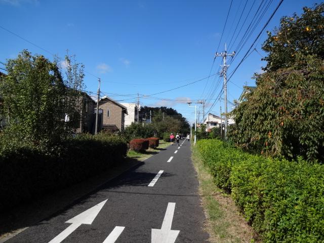 Other. In the spring it is 10 seconds walk from the Tamako cycling road that spreads out cherry trees
