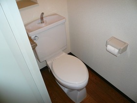 Toilet. Reference image (other Room No.)