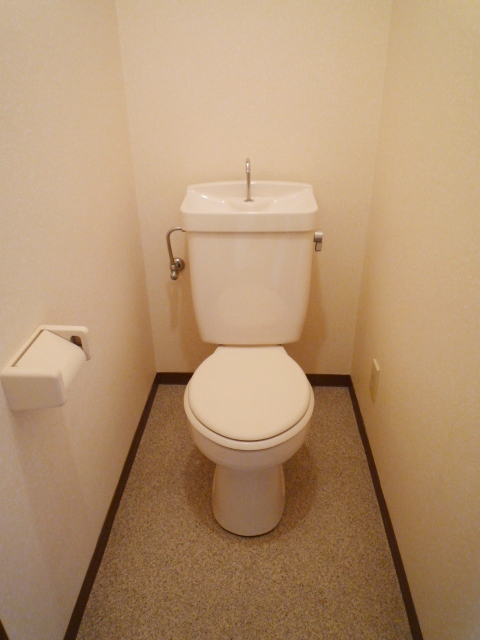 Toilet. The same type