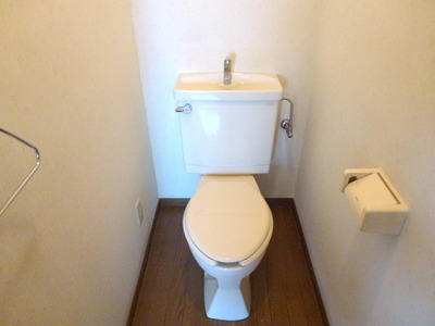 Toilet. Same type