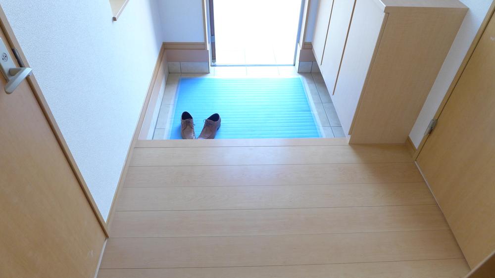 Other introspection. Spacious entrance