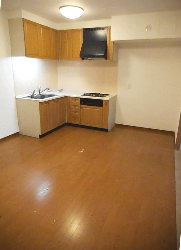 Kitchen. dining kitchen L-shaped kitchen