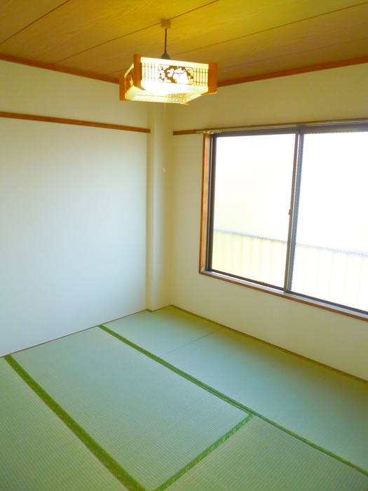 Living and room. Japanese-style room part
