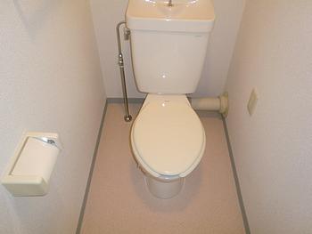 Toilet. Warm toilet can be installed