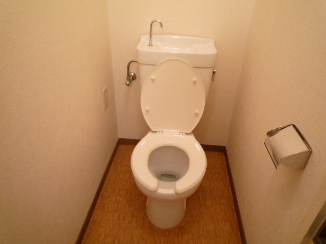 Toilet. The same type