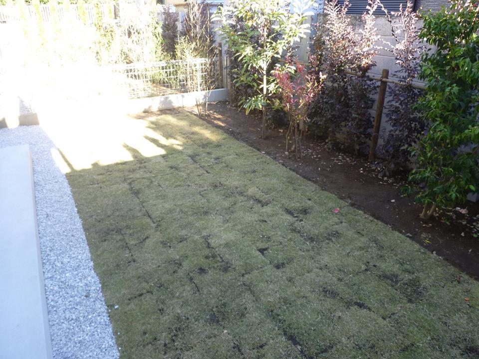 Garden. Local (11 May 2013) Shooting