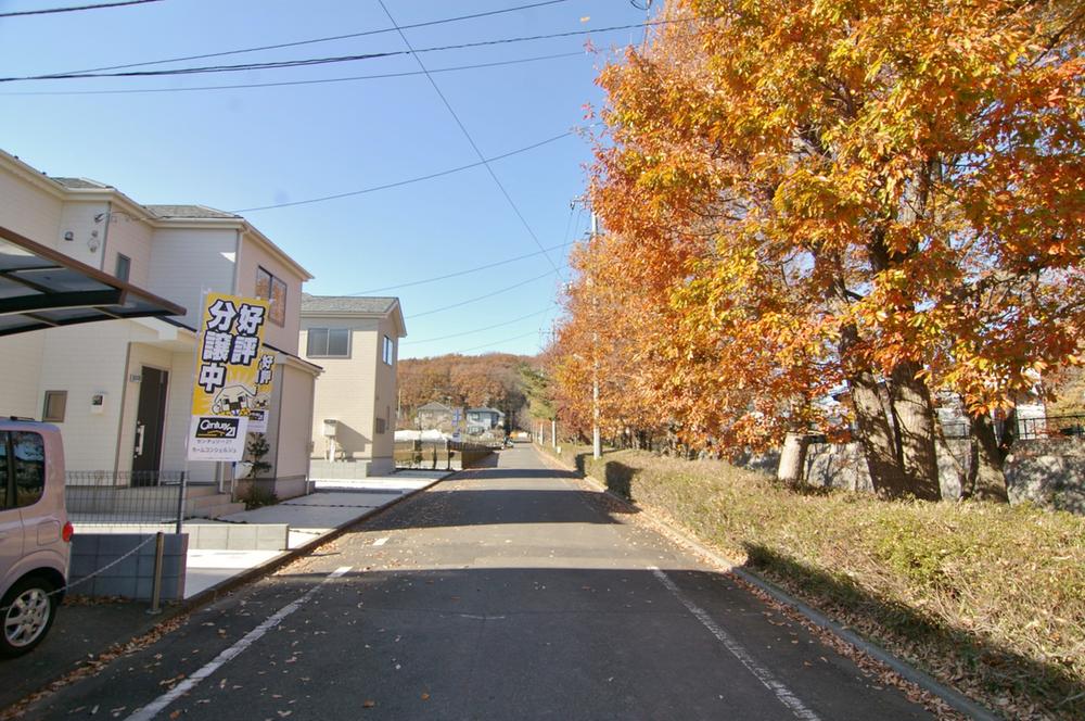 Local photos, including front road. Local (12 May 2013) Shooting