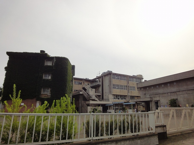 Primary school. 446m to Aoba elementary school (elementary school)