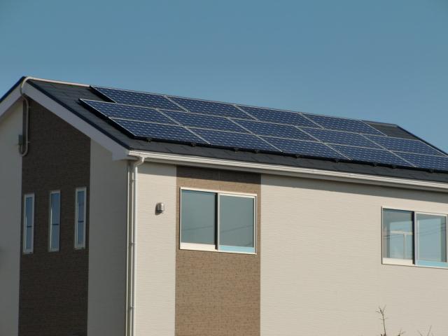 Other. Solar panels same specifications :( seller construction cases)