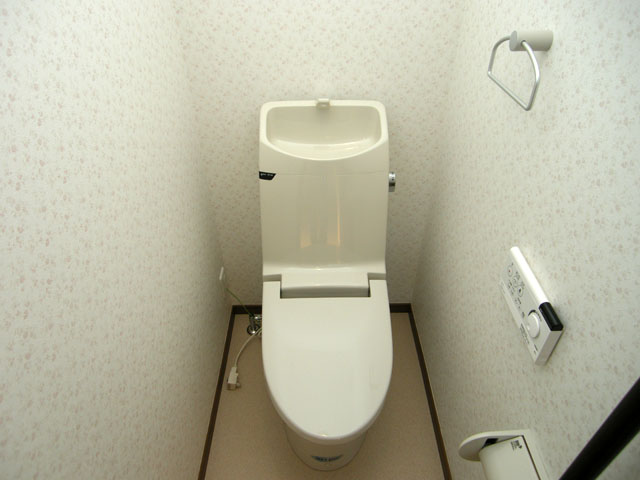 Toilet