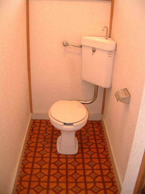 Toilet. Western-style toilet