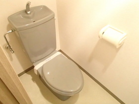 Toilet.  [Separate reference photograph] Cleaning function with toilet seat