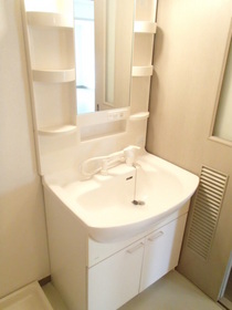 Washroom.  [Separate reference photograph] Independent wash basin