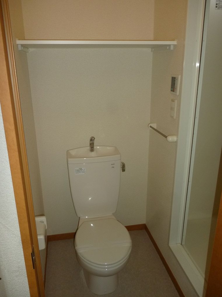 Toilet. It will also be in the dressing room space