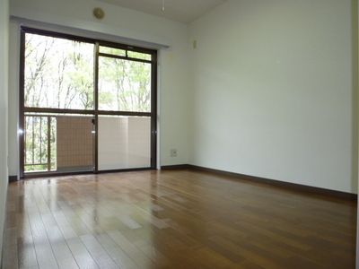 Living and room. Western style room