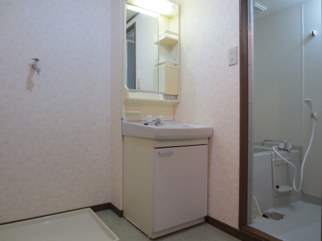 Washroom. Laundry Area and independent wash basin in the dressing room