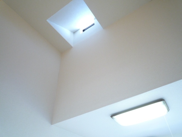 Other. Skylight