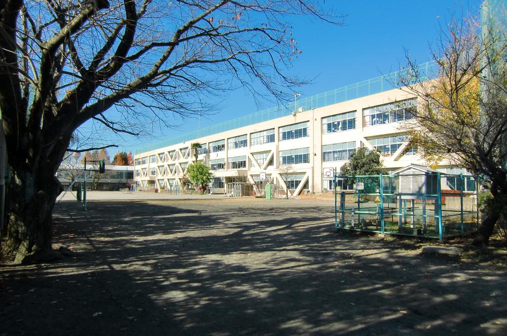 Primary school. Municipal 719m until the eighth elementary school