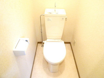 Toilet. Toilet