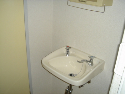 Washroom. Lavatory bowl! 
