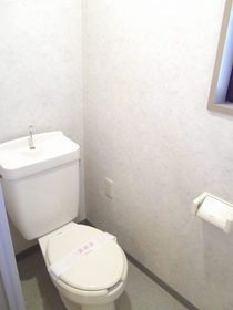 Toilet. The photograph is a reference photograph of the left and right inversion type