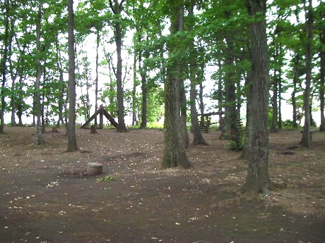 park. 270m to the bottom sand park (park)