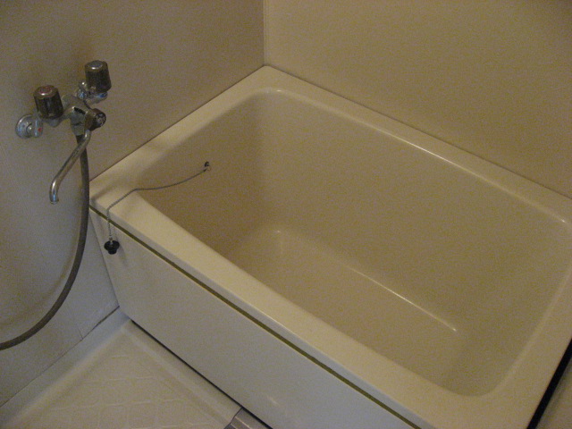 Bath. Spacious is bathtub!