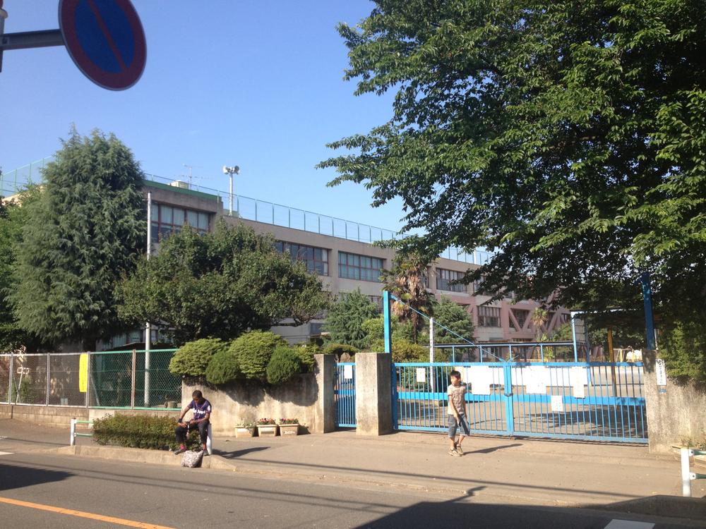 Primary school. Fifth elementary school about 250m