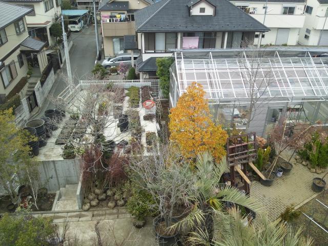Other local. Sayama 5-chome Shooting from selling store roof
