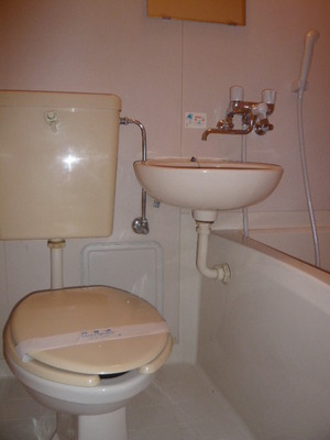 Bath. It is the bath of easy-to-use unit type