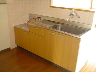 Kitchen. Two-burner gas stove installation Allowed