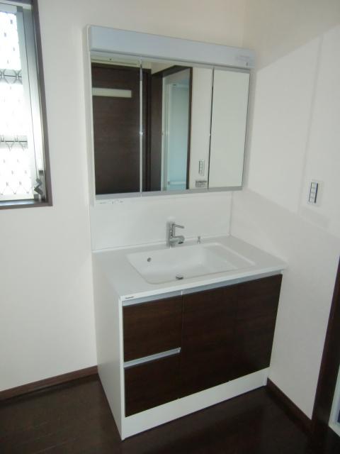 Wash basin, toilet. Vanity with shower (W900)