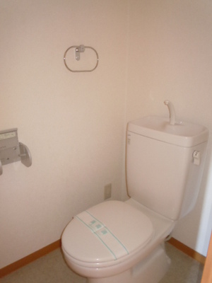 Toilet. Toilet